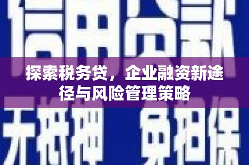 应县探索税务贷，企业融资新途径与风险管理策略