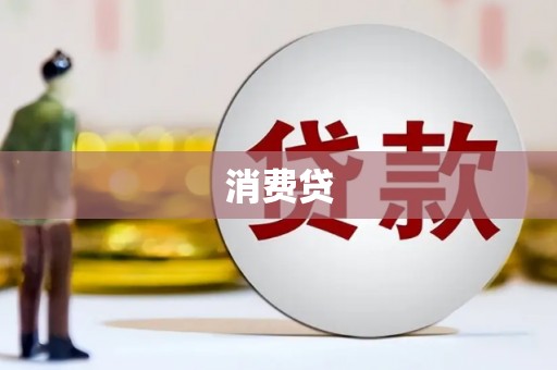 应县消费贷