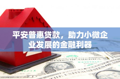 应县平安普惠贷款，助力小微企业发展的金融利器