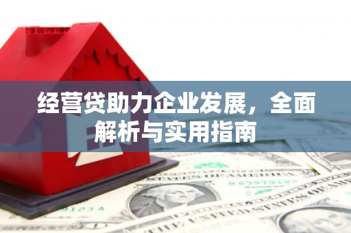 应县经营贷助力企业发展，全面解析与实用指南