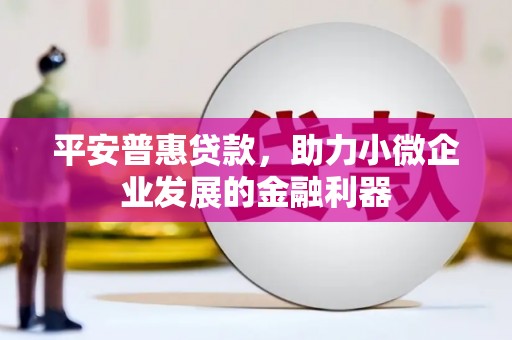 应县平安普惠贷款，助力小微企业发展的金融利器