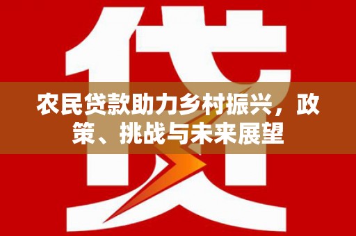 应县农民贷款助力乡村振兴，政策、挑战与未来展望