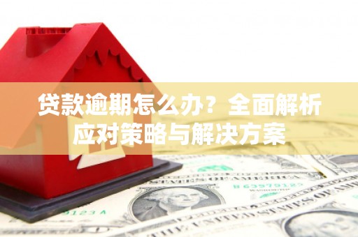 应县贷款逾期怎么办？全面解析应对策略与解决方案