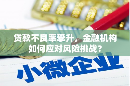 应县贷款不良率攀升，金融机构如何应对风险挑战？