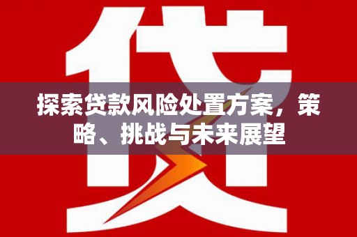 应县探索贷款风险处置方案，策略、挑战与未来展望