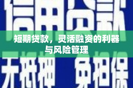 应县短期贷款，灵活融资的利器与风险管理