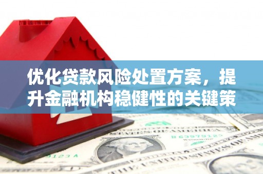 应县优化贷款风险处置方案，提升金融机构稳健性的关键策略