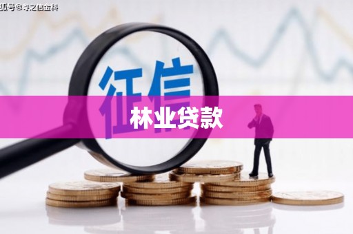 应县林业贷款