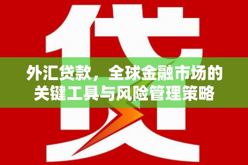 应县外汇贷款，全球金融市场的关键工具与风险管理策略