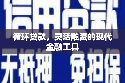 应县循环贷款，灵活融资的现代金融工具
