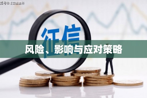 应县风险、影响与应对策略