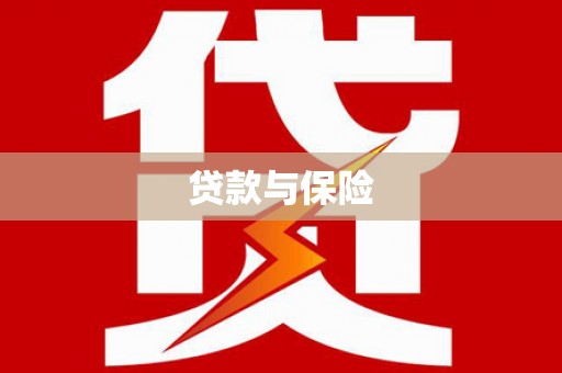应县贷款与保险