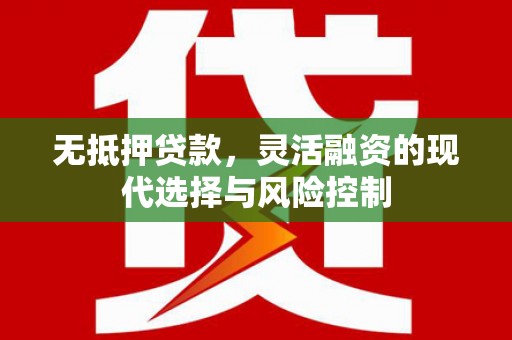 应县无抵押贷款，灵活融资的现代选择与风险控制