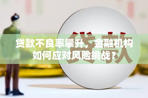 应县贷款不良率攀升，金融机构如何应对风险挑战？