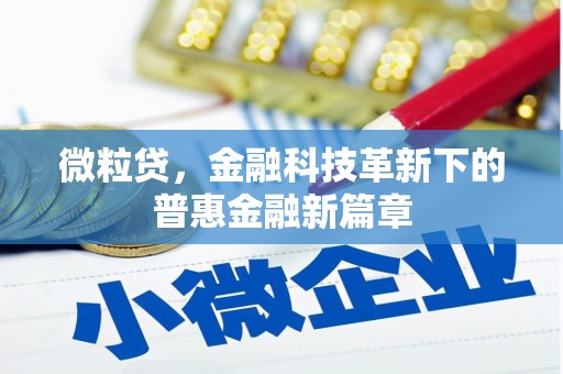 应县微粒贷，金融科技革新下的普惠金融新篇章