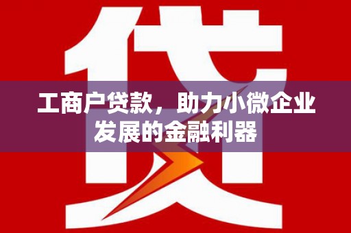 应县工商户贷款，助力小微企业发展的金融利器