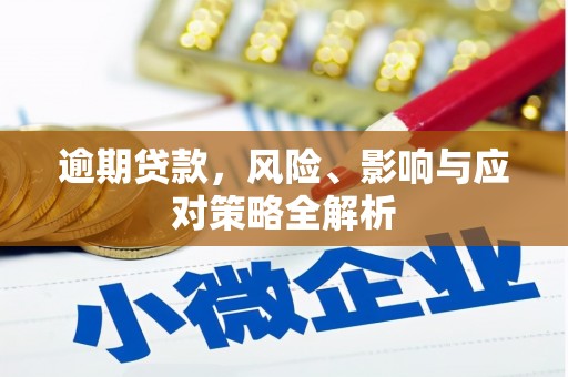 应县逾期贷款，风险、影响与应对策略全解析