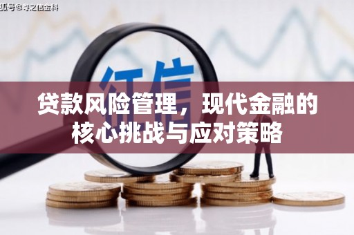应县贷款风险管理，现代金融的核心挑战与应对策略
