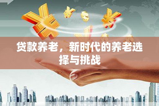 应县贷款养老，新时代的养老选择与挑战