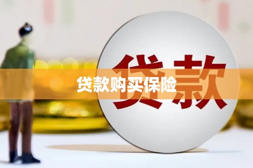 应县贷款购买保险