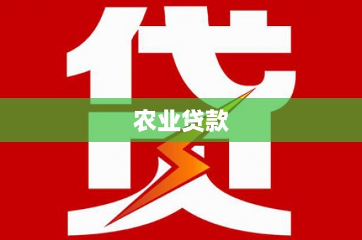应县农业贷款