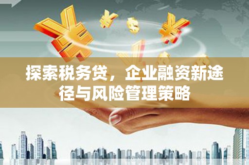 应县探索税务贷，企业融资新途径与风险管理策略