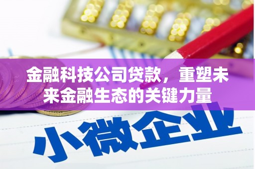 应县金融科技公司贷款，重塑未来金融生态的关键力量