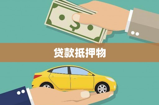 应县贷款抵押物
