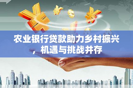 应县农业银行贷款助力乡村振兴，机遇与挑战并存
