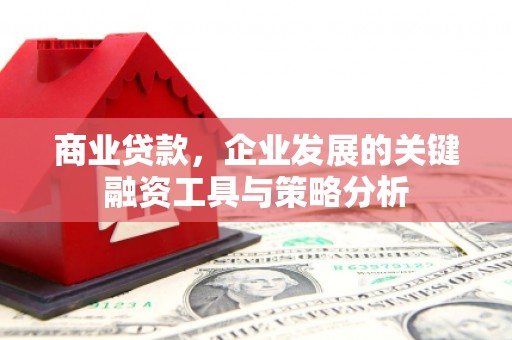 应县商业贷款，企业发展的关键融资工具与策略分析