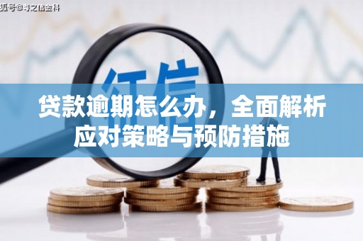应县贷款逾期怎么办，全面解析应对策略与预防措施