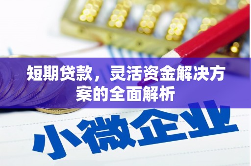 应县短期贷款，灵活资金解决方案的全面解析