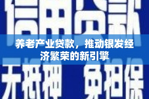 应县养老产业贷款，推动银发经济繁荣的新引擎