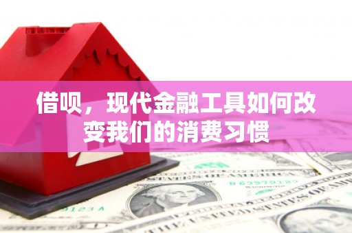 应县借呗，现代金融工具如何改变我们的消费习惯