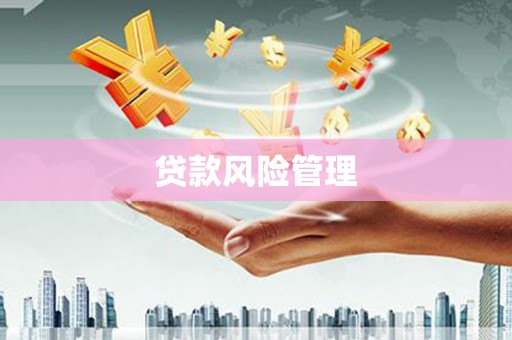 应县贷款风险管理