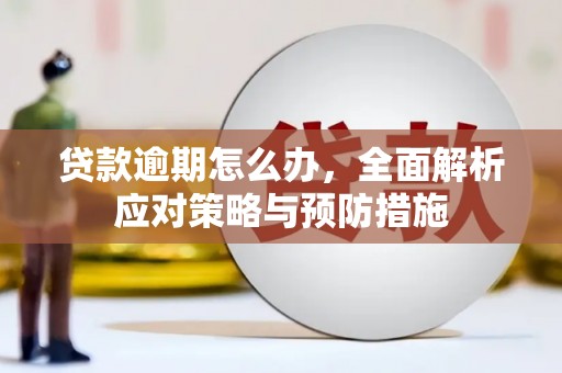 应县贷款逾期怎么办，全面解析应对策略与预防措施