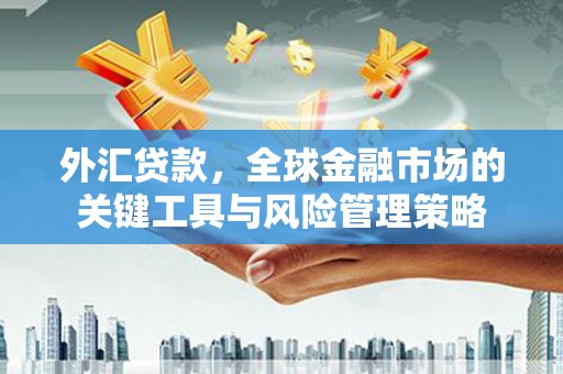 应县外汇贷款，全球金融市场的关键工具与风险管理策略
