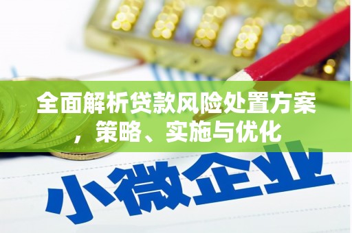 应县全面解析贷款风险处置方案，策略、实施与优化