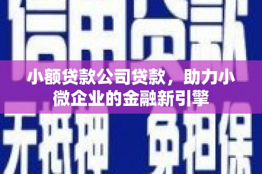 应县小额贷款公司贷款，助力小微企业的金融新引擎