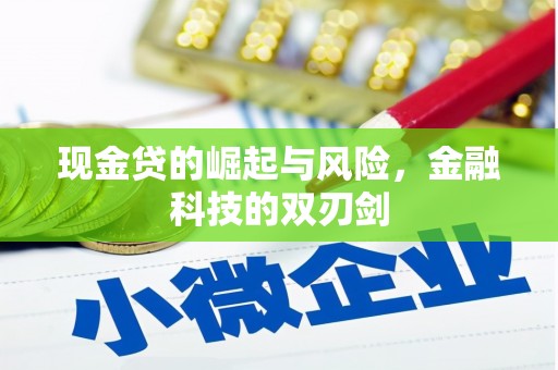 应县现金贷的崛起与风险，金融科技的双刃剑