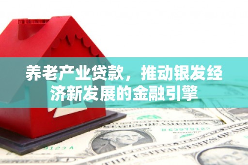 应县养老产业贷款，推动银发经济新发展的金融引擎