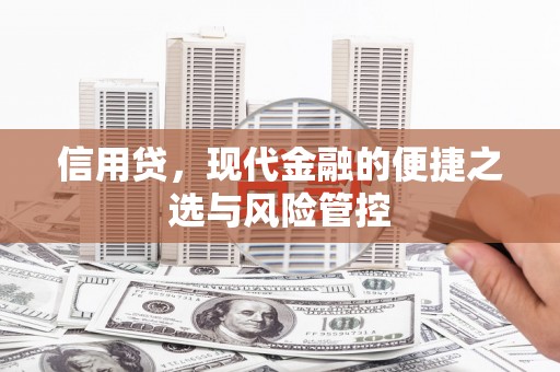 应县信用贷，现代金融的便捷之选与风险管控