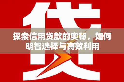 应县探索信用贷款的奥秘，如何明智选择与高效利用