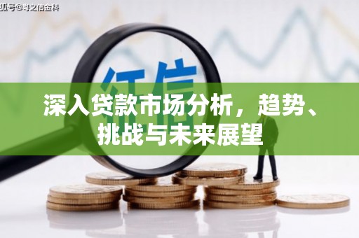 应县深入贷款市场分析，趋势、挑战与未来展望