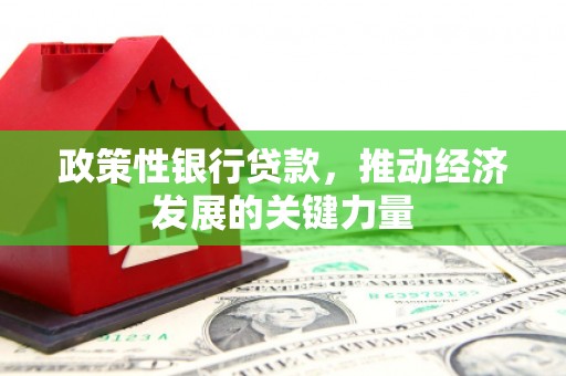 应县政策性银行贷款，推动经济发展的关键力量