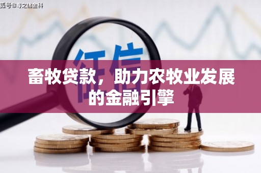 应县畜牧贷款，助力农牧业发展的金融引擎