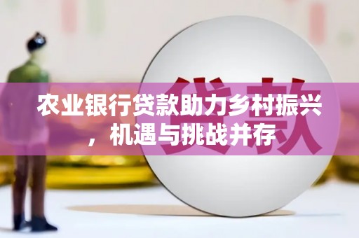 应县农业银行贷款助力乡村振兴，机遇与挑战并存