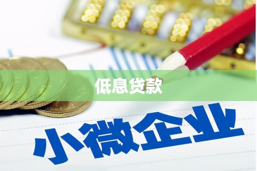 应县低息贷款