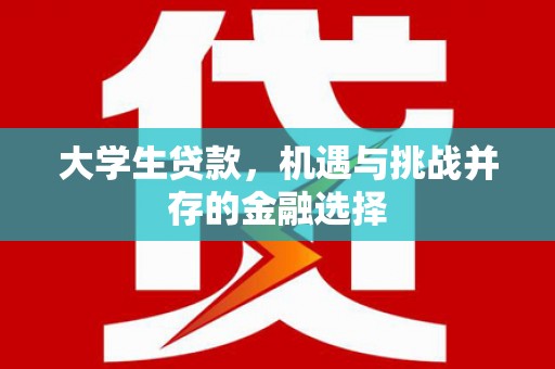 应县大学生贷款，机遇与挑战并存的金融选择