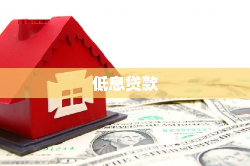 应县低息贷款